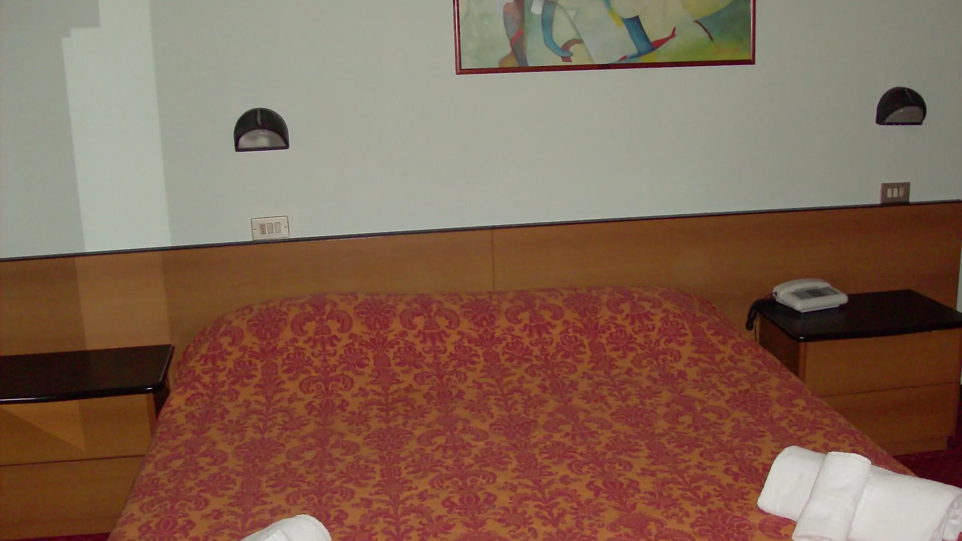 Niagara Hotel 里米尼