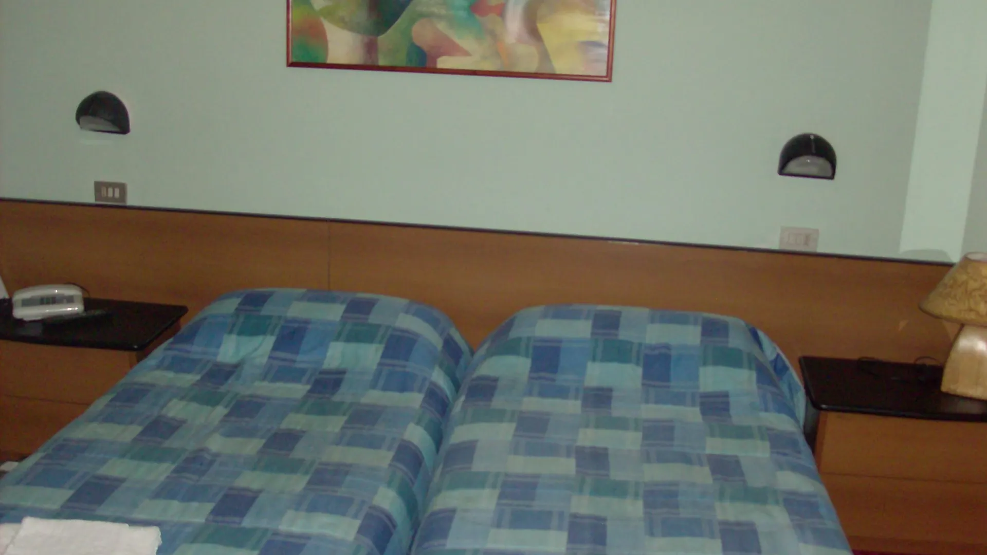Niagara Hotel 里米尼