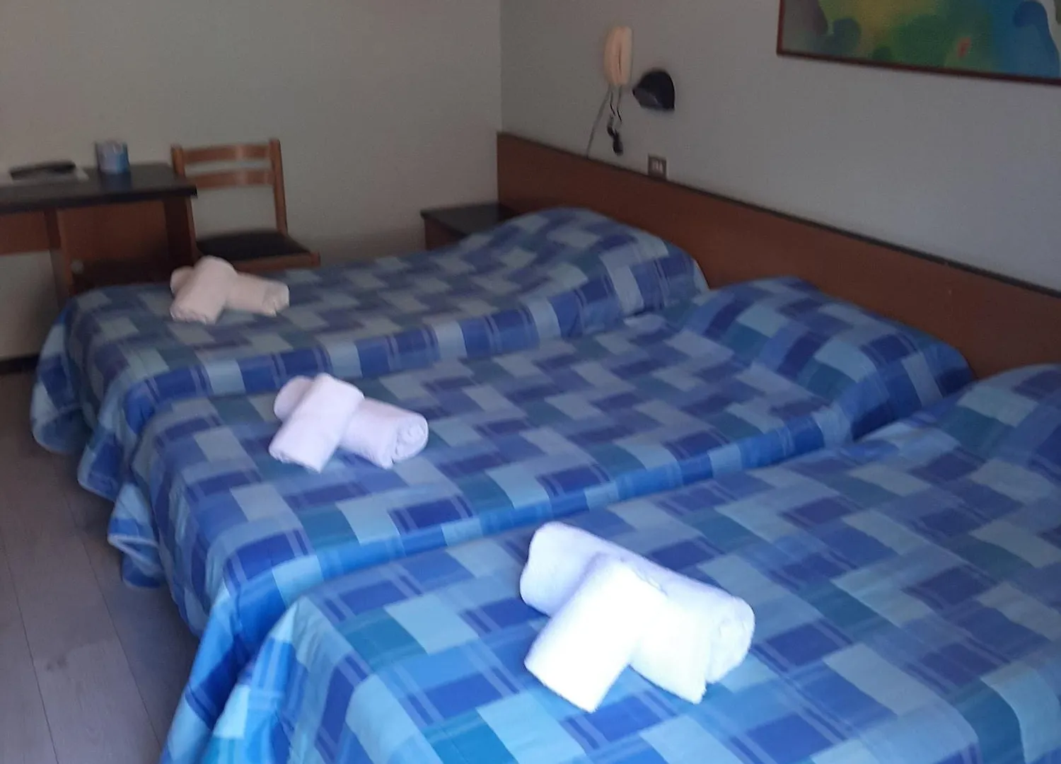 Niagara Hotel 里米尼